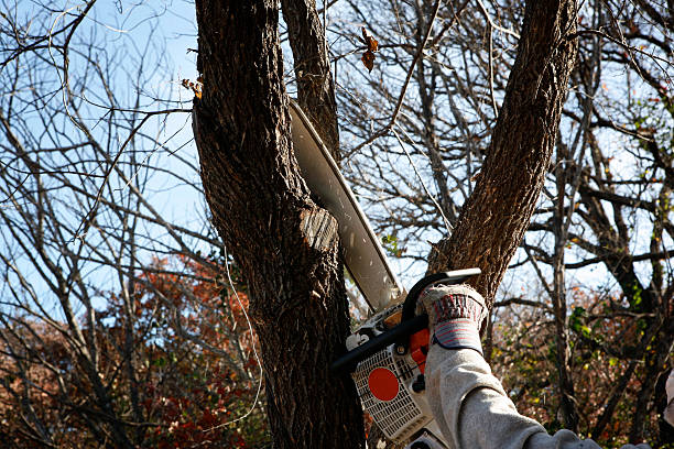 Soil Testing and Treatment in Mattapoisett Center, MA